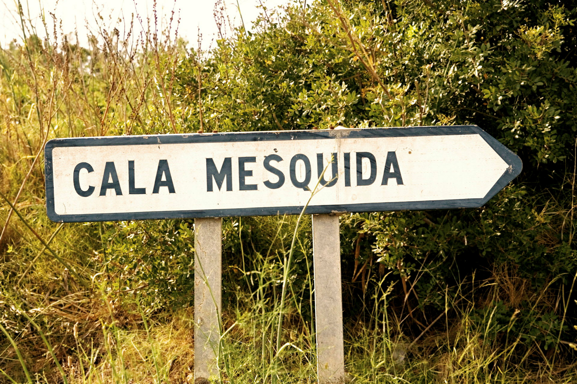 Tienviitta, jossa lukee "Cala Mesquida", osoittaa oikealle ja sitä ympäröi kasvillisuus. (Tekoälyn luoma teksti)