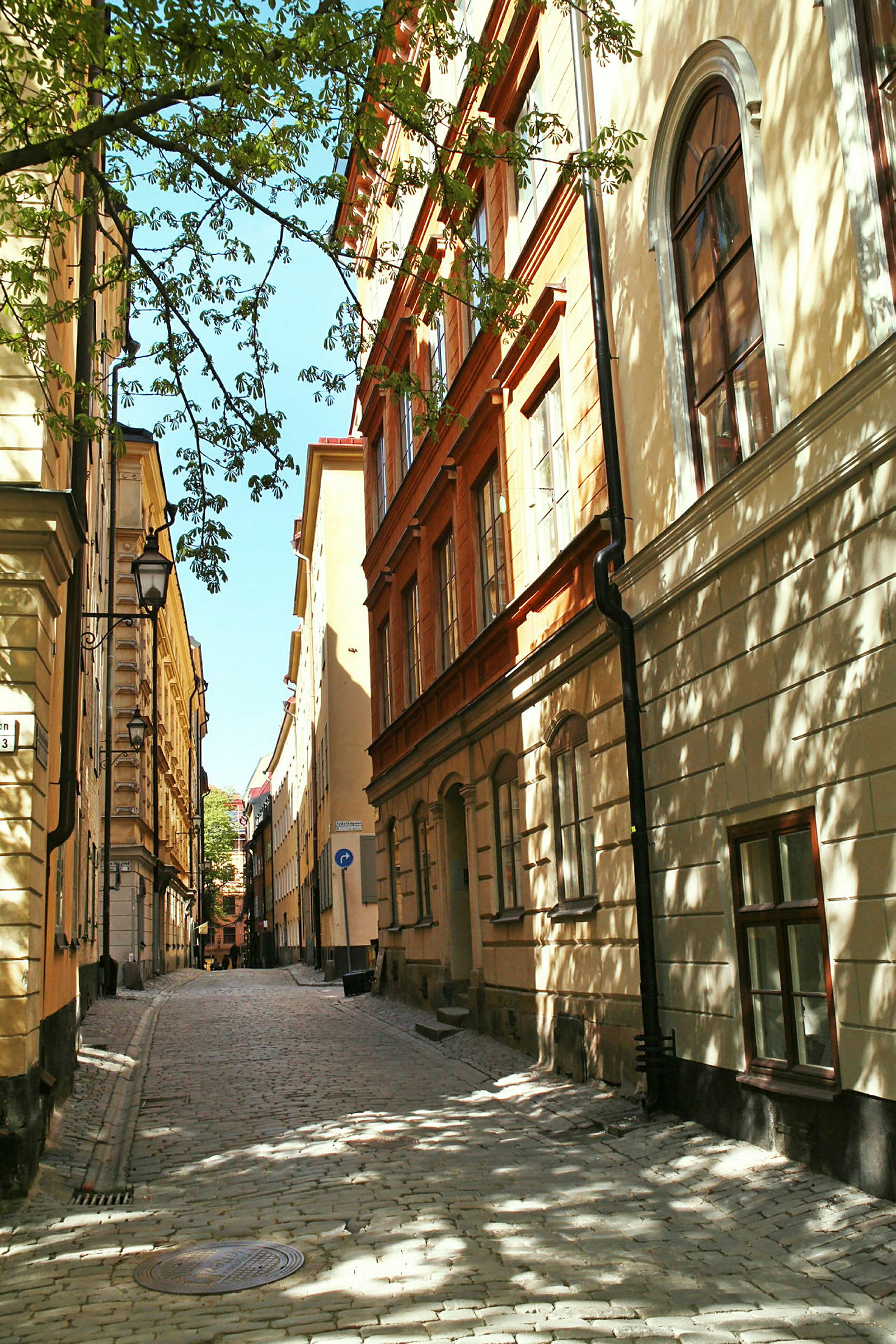 Kapea mukulakivikatu, jota reunustavat vanhat rakennukset, ja varjoja puista. (Tekoälyn luoma teksti)