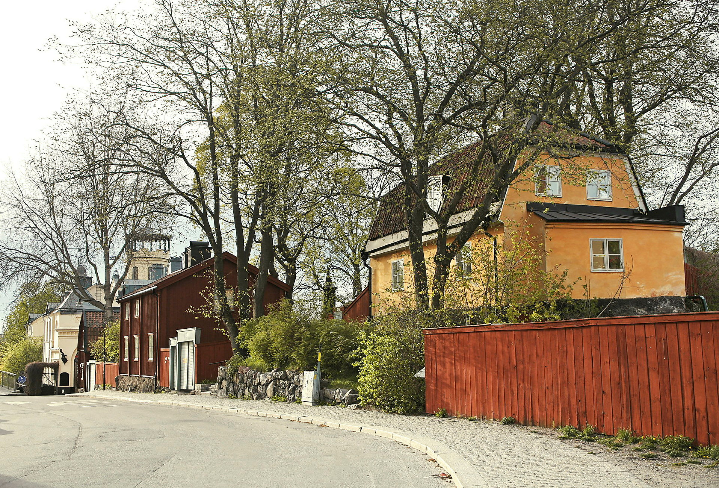 Maantie, joka kulkee puutalojen ohi, ympärillä puita ja pensaita. (Tekoälyn luoma teksti)
