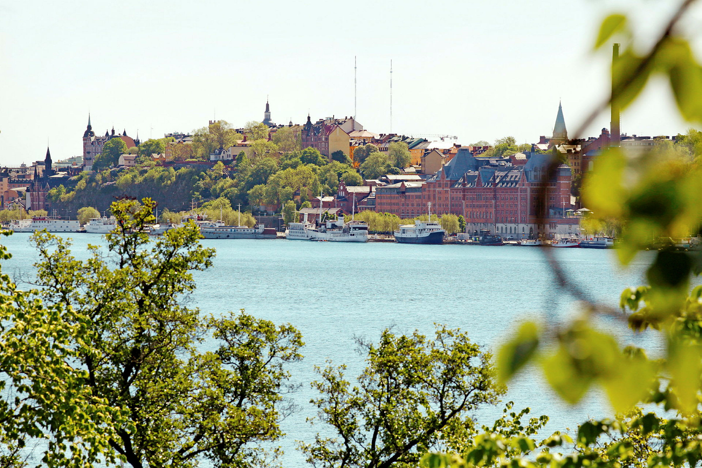 Näkymä veden yli kaupunkiin, jossa on rakennuksia ja vehreyttä. (Tekoälyn luoma teksti)