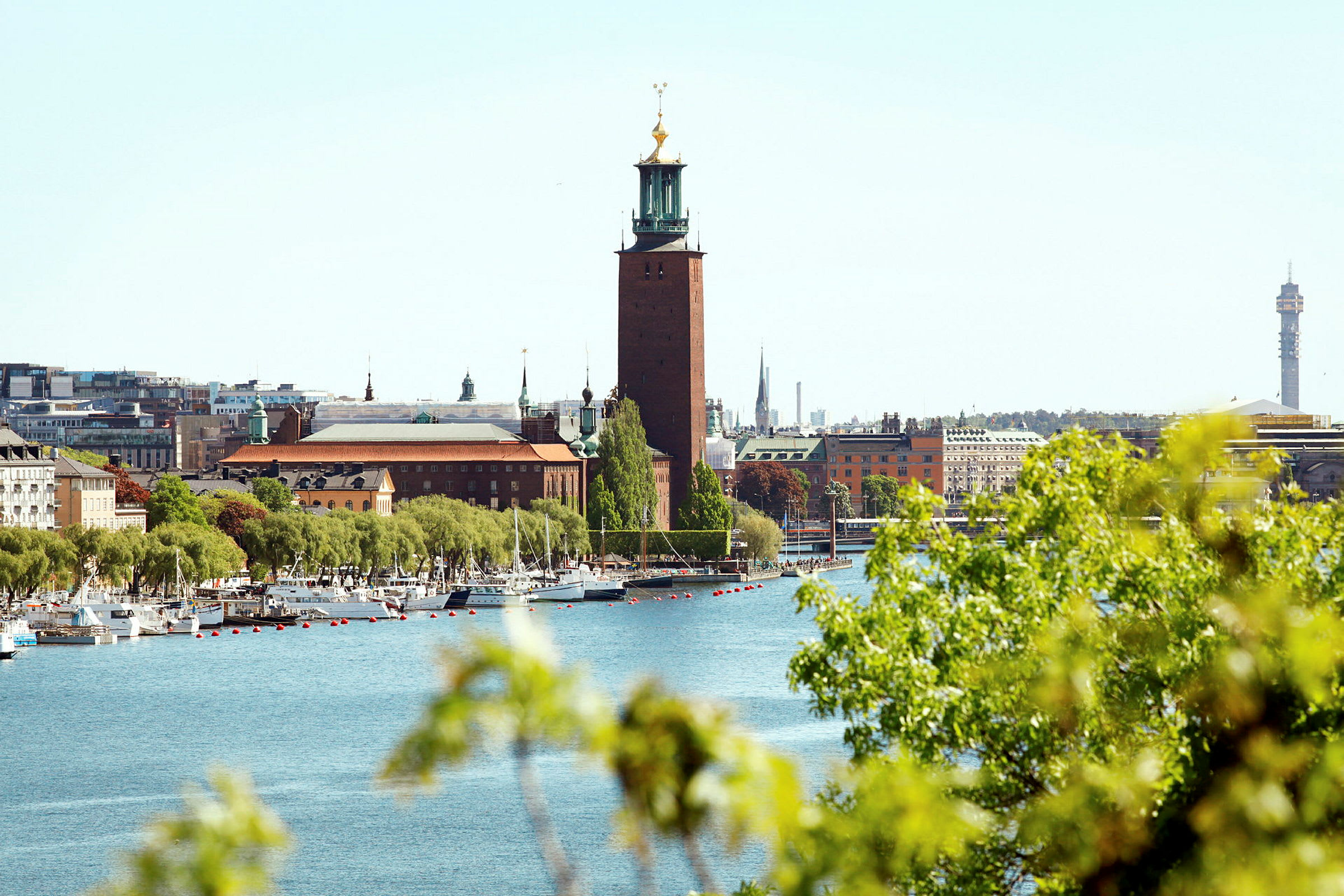 Suuri rakennus veden äärellä, etualalla vehreää kasvillisuutta ja purjeveneitä. (Tekoälyn luoma teksti)