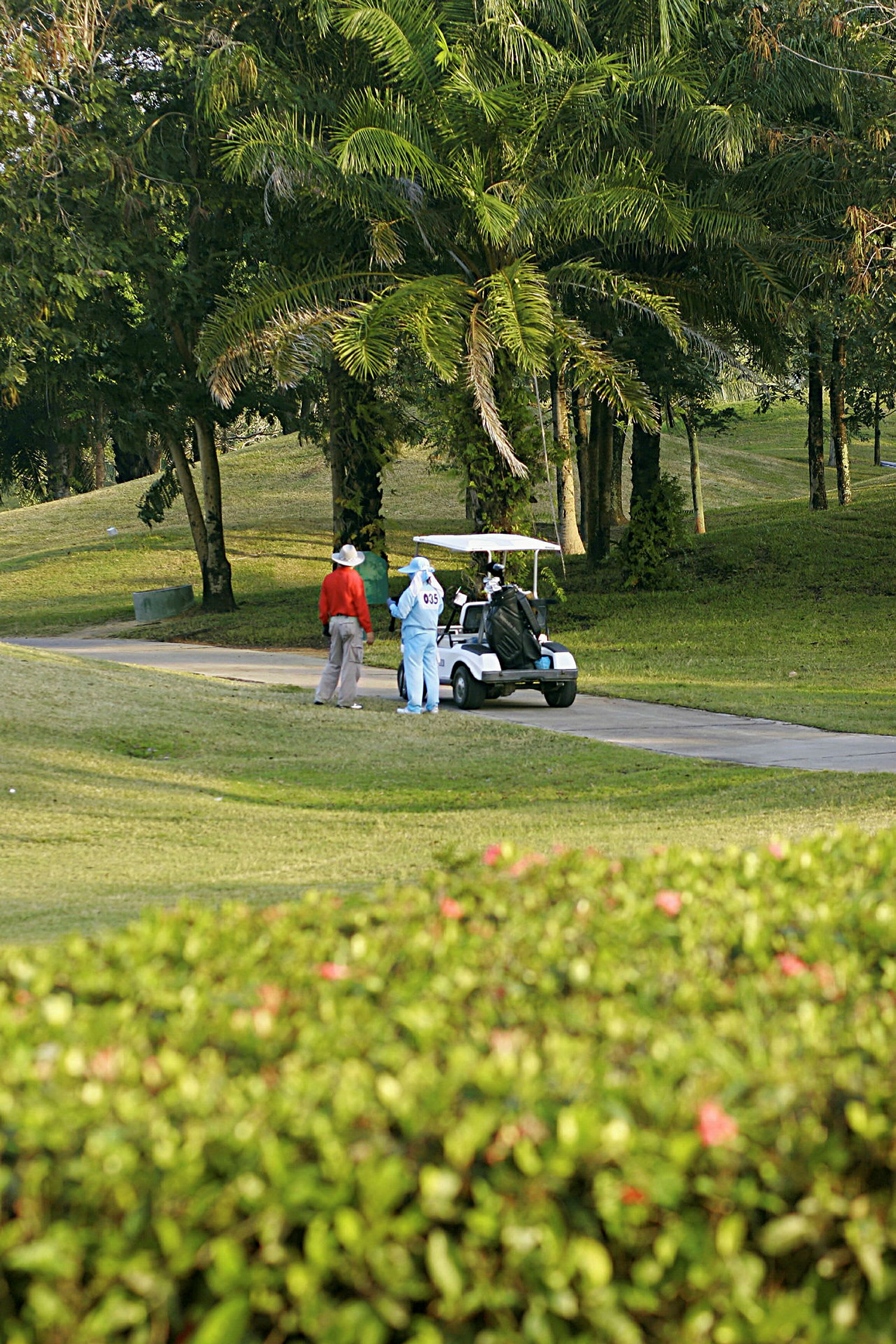 Kaksi henkilöä seisoo golfauton vieressä golfkentällä, taustalla puita. (Tekoälyn luoma teksti)