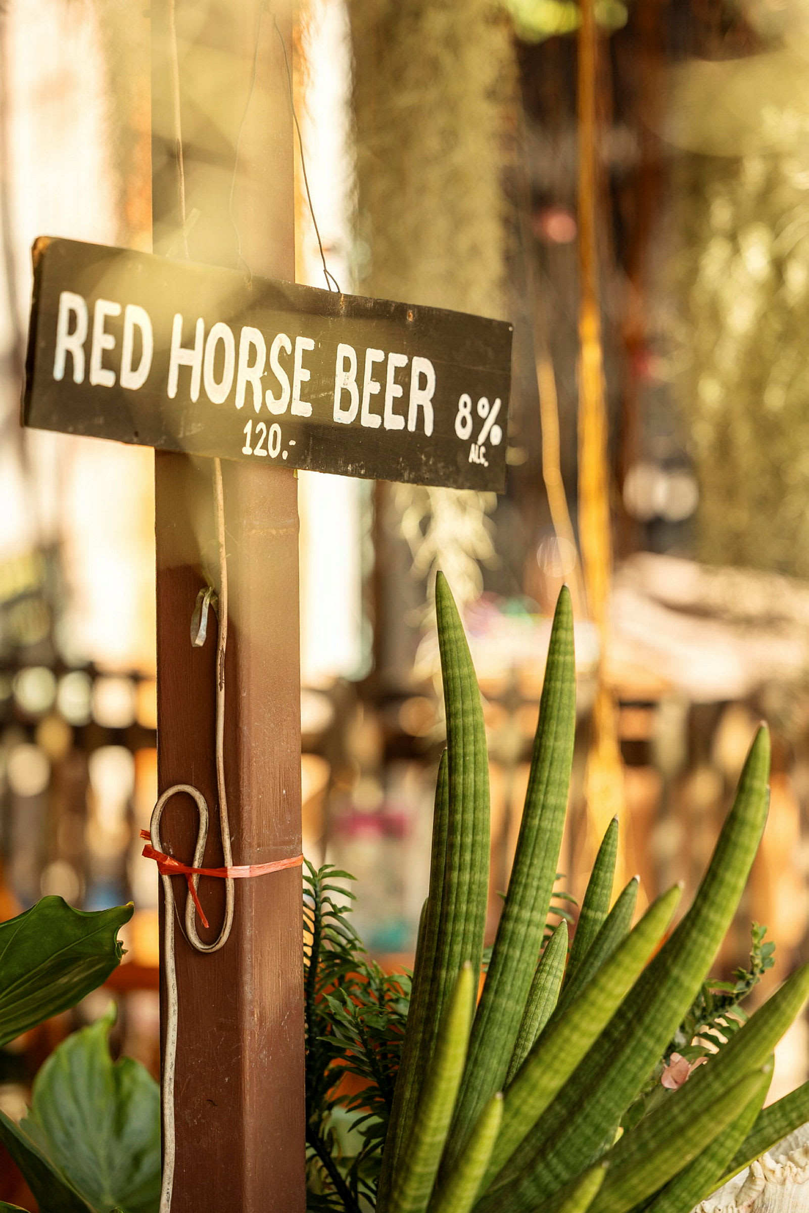 Puukyltissä lukee 'Red Horse Beer 8% Alc. 120', ja se on kiinnitetty pylvääseen kasvien ympäröimänä. (Tekoälyn luoma teksti)