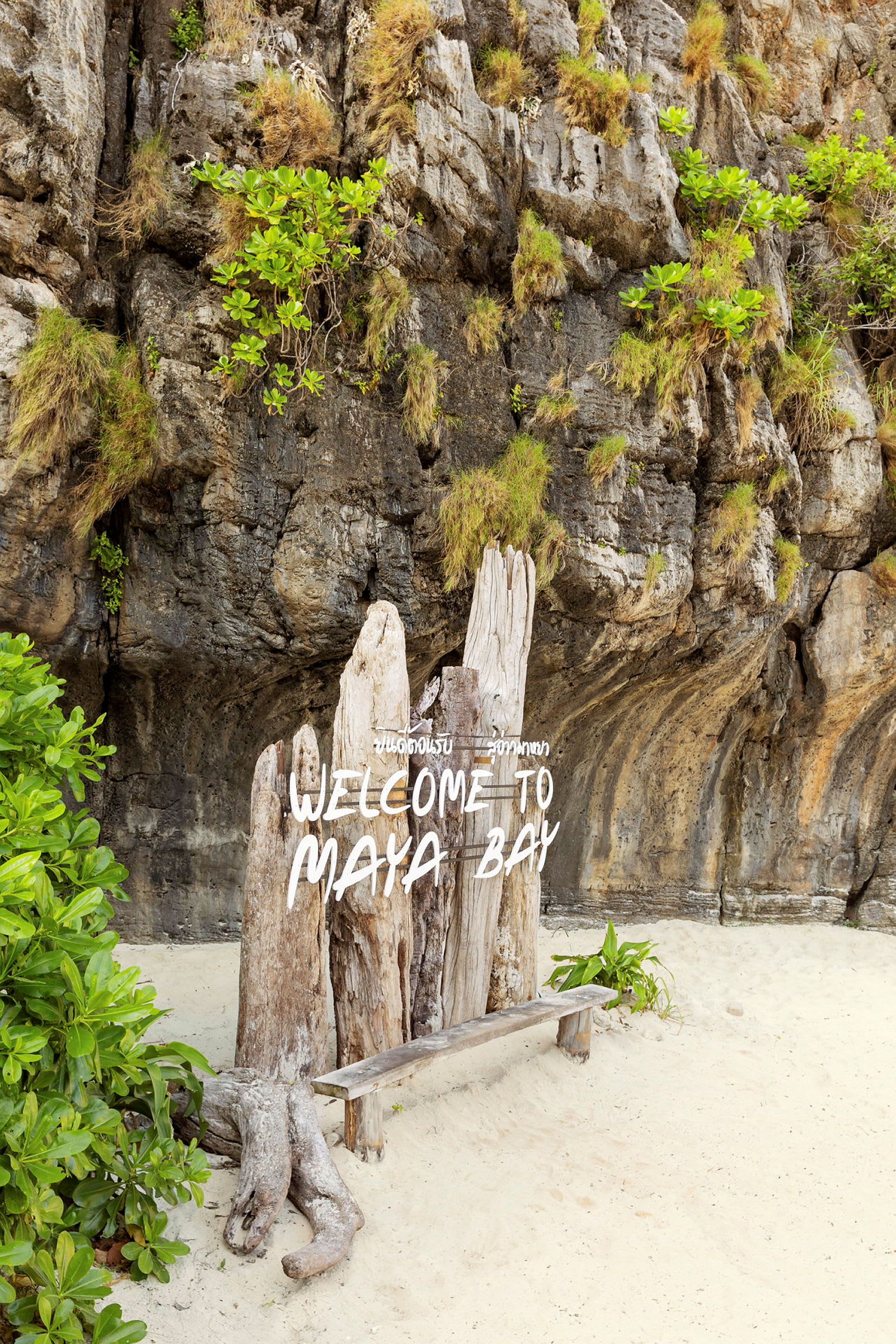 Kyltti, jossa lukee 'Welcome to Maya Bay', kallion edessä ja hiekkarannalla. (Tekoälyn luoma teksti)