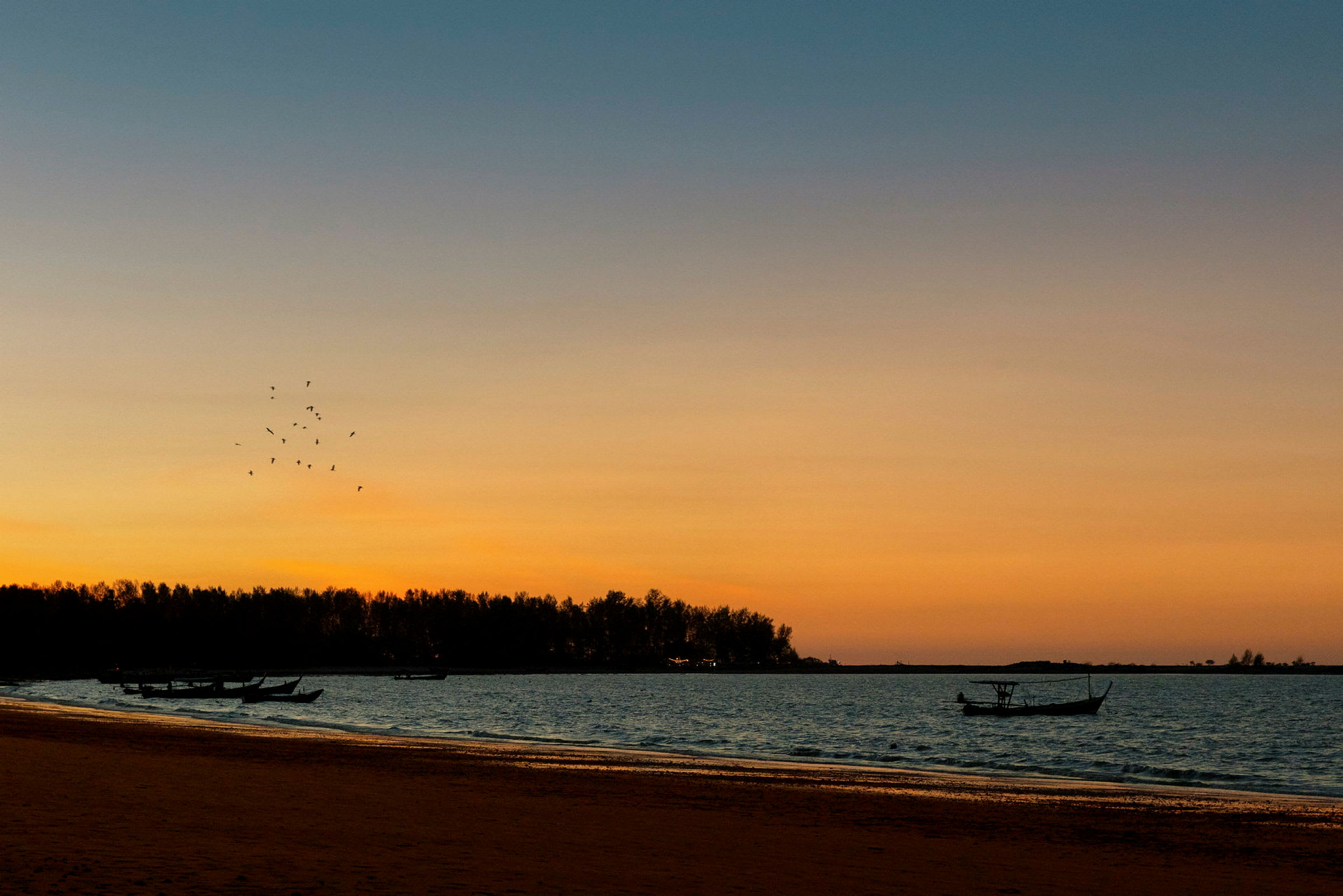 Auringonlasku rannan yllä, veneitä ja lintuja. (Tekoälyn luoma teksti)