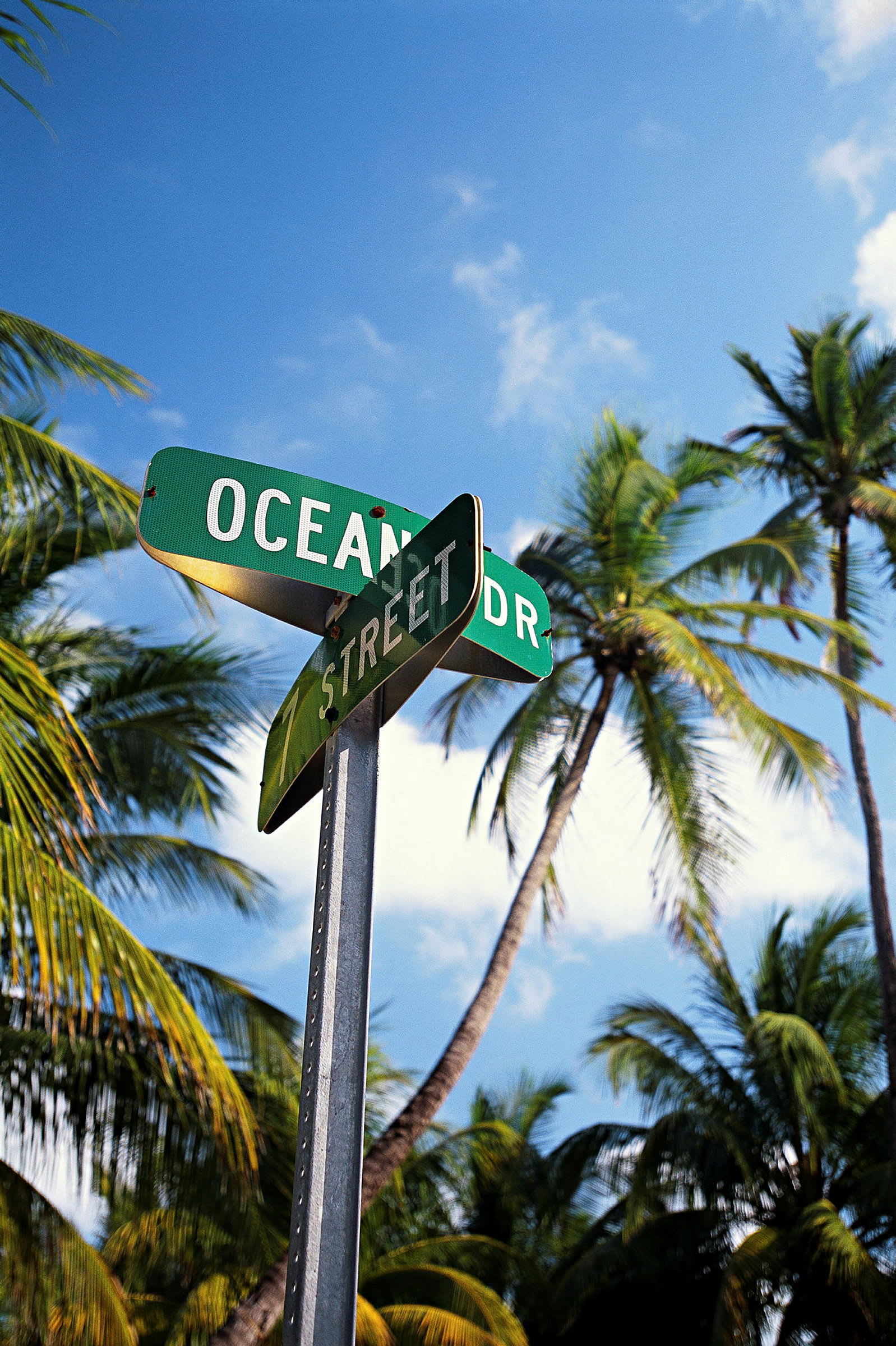 Ocean Drive ja 7th Street katujen kyltit palmujen ja sinisen taivaan ympäröimänä. (Tekoälyn luoma teksti)