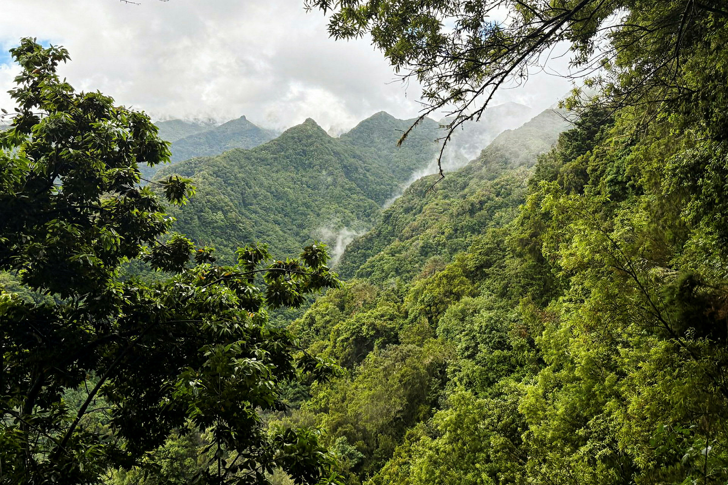 Levada do Rei (PR 18)