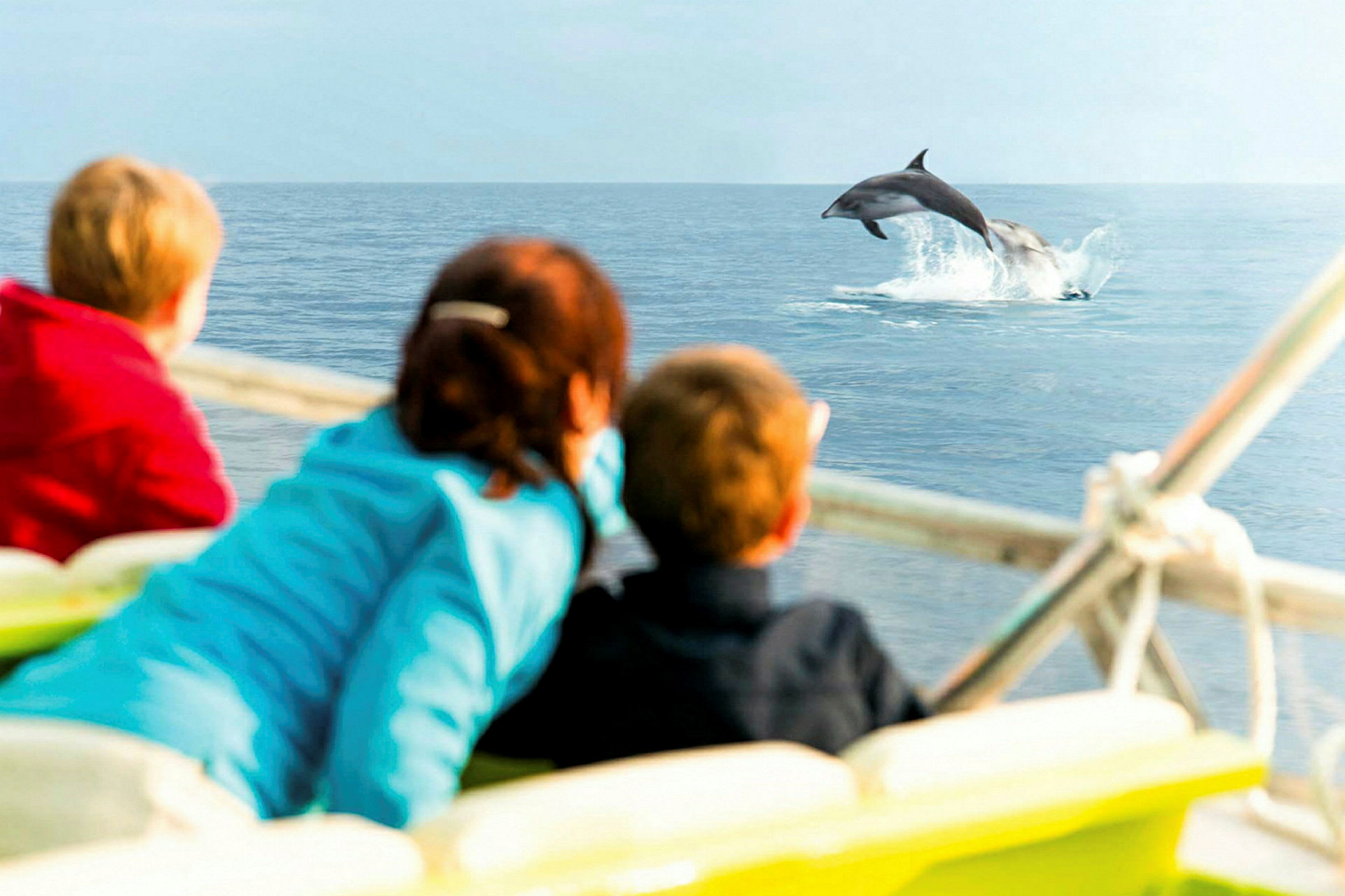 Kolme henkilöä veneessä katsoo delfiiniä, joka hyppää vedestä. (Tekoälyn luoma teksti)