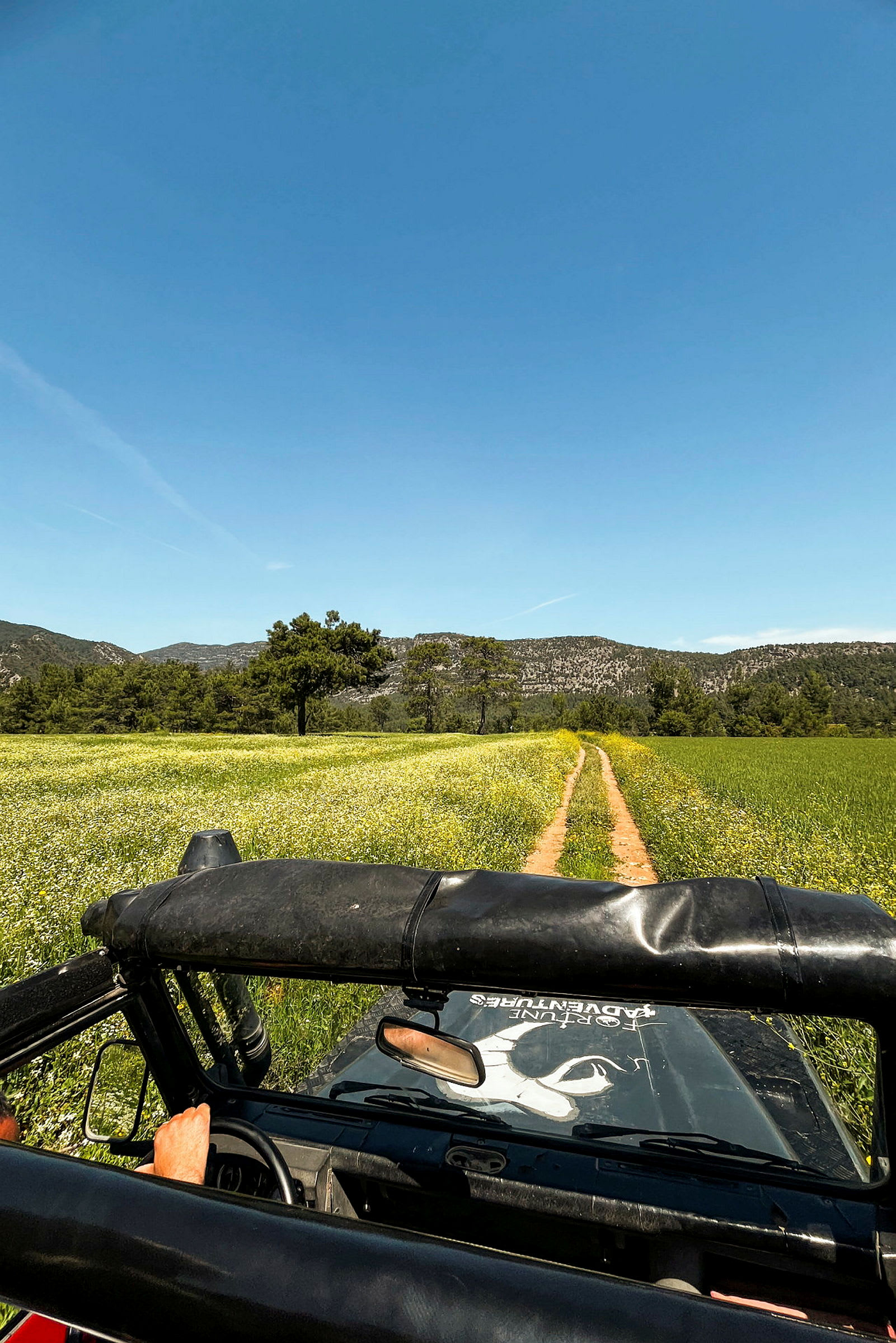 Jeep kulkee soratietä vihreän niityn läpi, joka on täynnä kukkia ja puita. Taustalla näkyy vuoristo kirkkaan sinisen taivaan alla. (Tekoälyn luoma teksti)