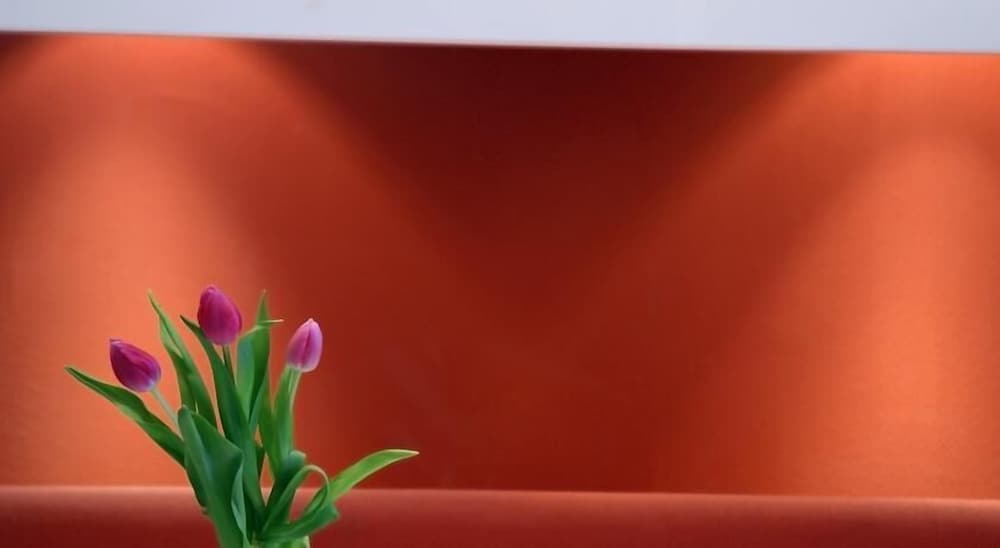 Aula