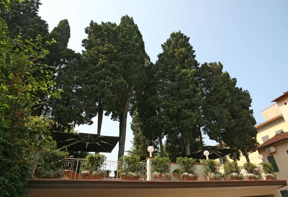 Terassi/patio