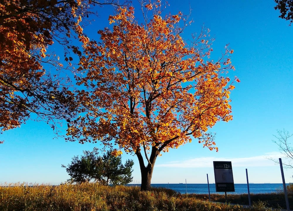 Ulkopuoli
