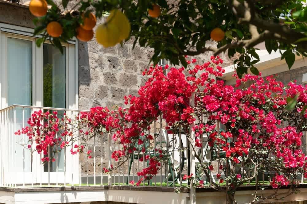 Terassi/patio