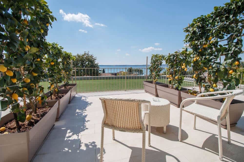 Terassi/patio