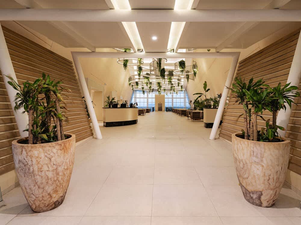 Aula