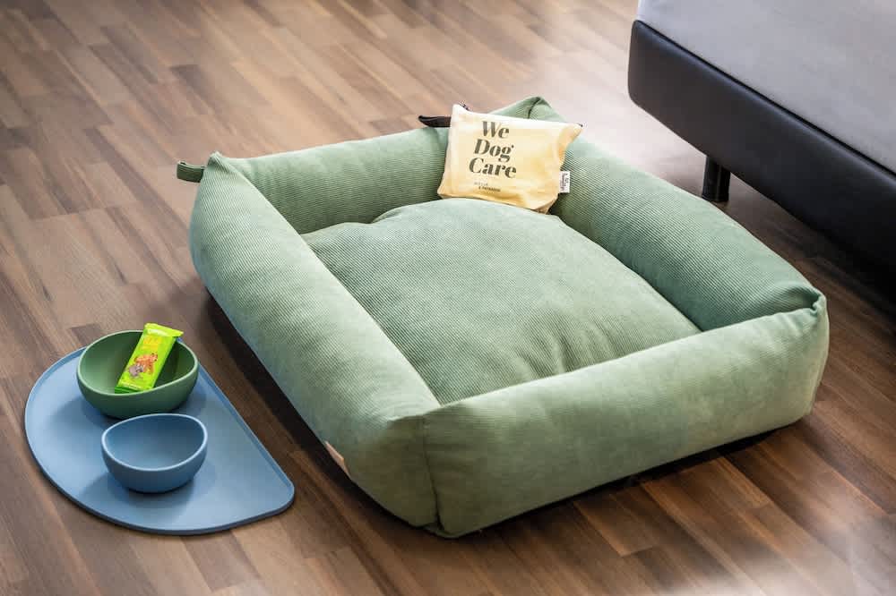Lemmikkiystävällinen