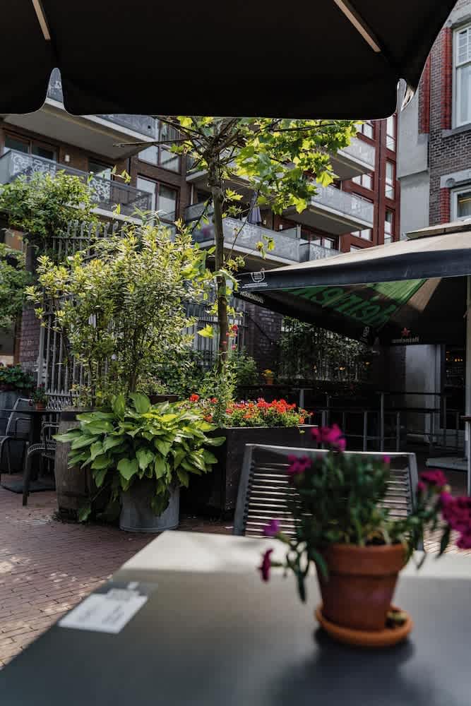 Terassi/patio