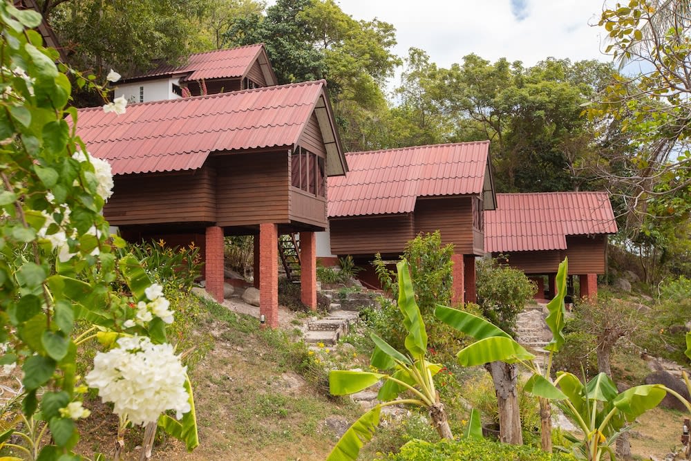 Puutarha