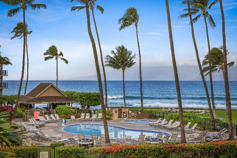 Uima-allas