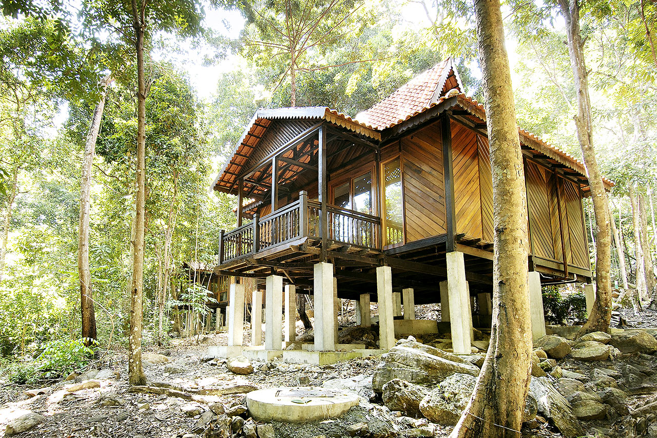 Rainforest studio -huone