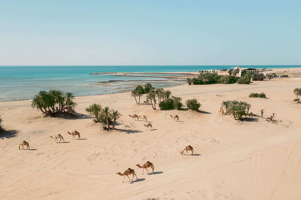 Umm Bab Beach